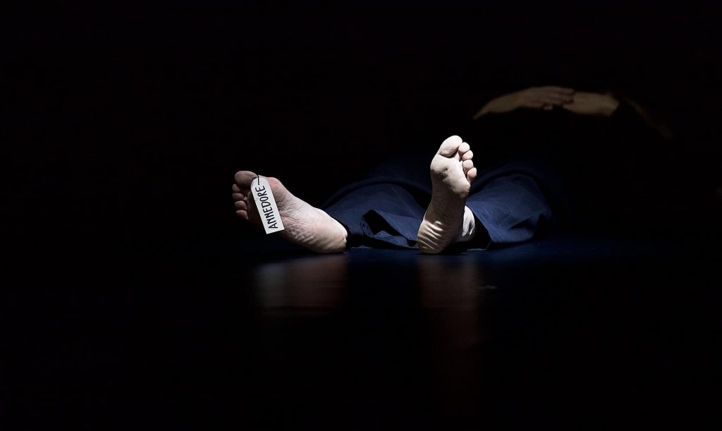  Foto: Dieter Hartwig